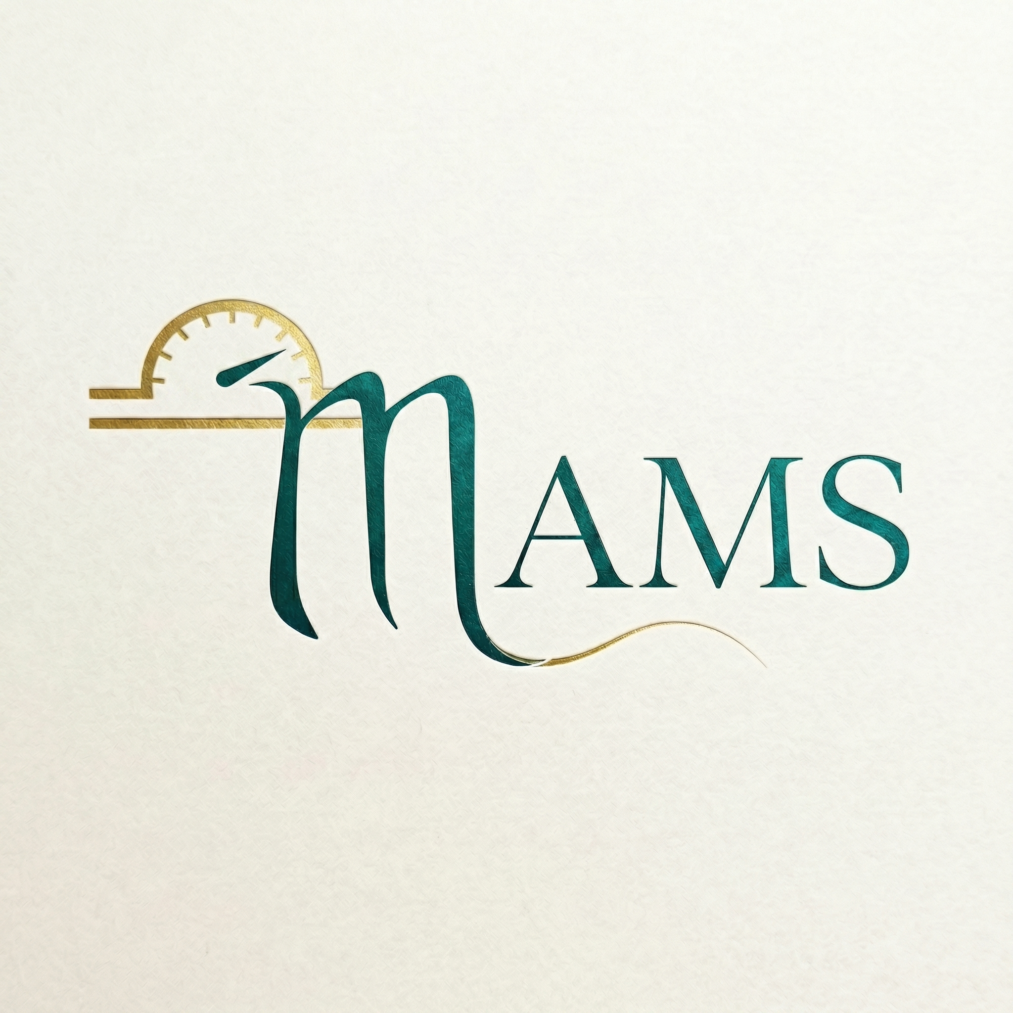 Miles-A-Minute Solutions(MAMS) at One South Realty Group of Samson Properties - Logo